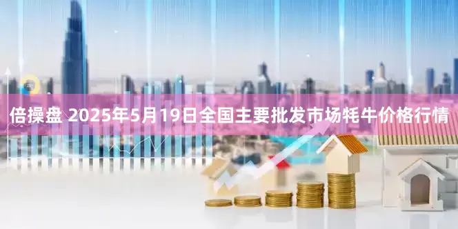 倍操盘 2025年5月19日全国主要批发市场牦牛价格行情